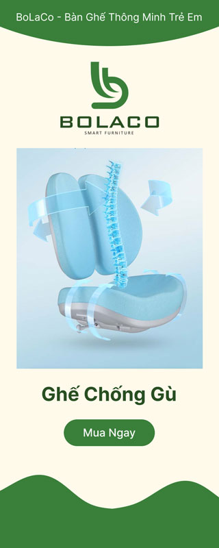 Ghế chống gù Ghế chống gù